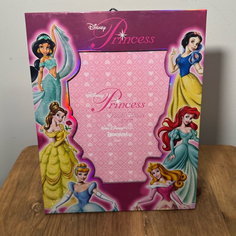 Disney Princess Picture Frame.